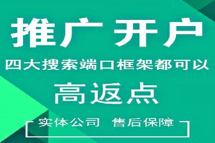某电商平台的SEM关键词策略及成效分析